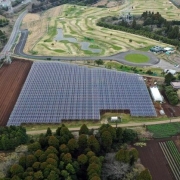 Growing crops beneath solar panels is an innovative way to use farmland to generate renewable energy in countries with limited space.