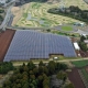 Growing crops beneath solar panels is an innovative way to use farmland to generate renewable energy in countries with limited space.