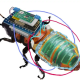 Japan developed the system for remote control cyborg cockroaches, with wireless control module, rechargeable batteries and tiny solar cell.