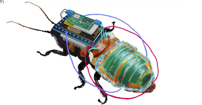 Japan developed the system for remote control cyborg cockroaches, with wireless control module, rechargeable batteries and tiny solar cell.