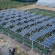 As global temperatures rise, the panels can help to conserve dwindling freshwater supplies by reducing evaporation from both plants and soil.