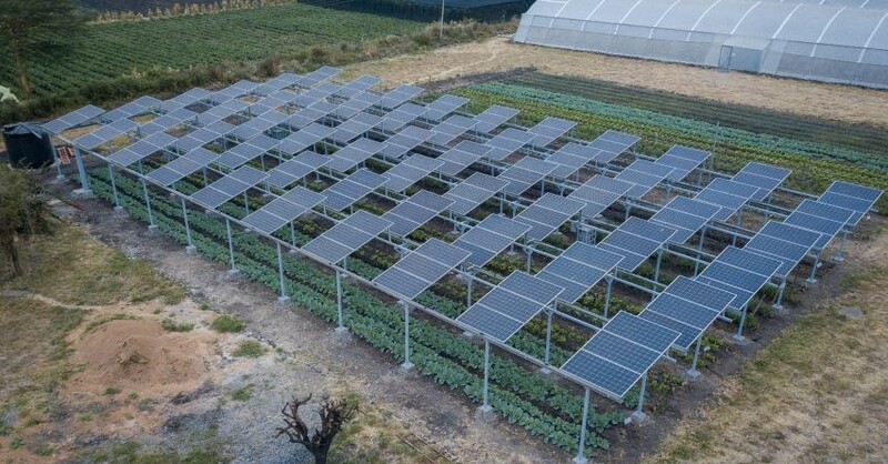 As global temperatures rise, the panels can help to conserve dwindling freshwater supplies by reducing evaporation from both plants and soil.