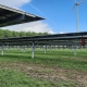 Vattenfall in Netherlands is building a solar park where solar panels are combined with cultivation to show that farming and solar panels can go well together.