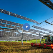 French farmers are covering crops with solar panels to produce food and energy at the same time.