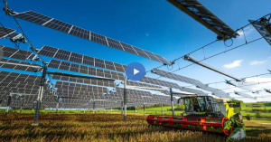 French farmers are covering crops with solar panels to produce food and energy at the same time.