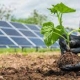 DOE announced $8 million for six solar energy research projects across six states and the District of Columbia that supports agrivoltaics.