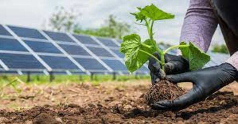 DOE announced $8 million for six solar energy research projects across six states and the District of Columbia that supports agrivoltaics.