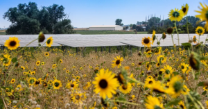 The Coalition for Community Solar Access has 30GW vision for community solar in the US by 2030, which is almost 6x the 5.3GW installed now.