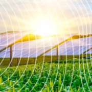 Solar and agriculture are beginning to converge as farmers learn renewable energy can make farming more efficient.