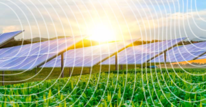 Solar and agriculture are beginning to converge as farmers learn renewable energy can make farming more efficient.