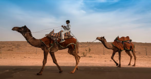 Instant milk chillers powered by solar panels are helping pastoralists in India's Thar Desert to keep their dairy fresh as temperatures rise.