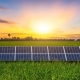 The only known rice mill in Florida will now be using a 900-panel solar array and a Tesla Megapack battery to power its operations.