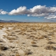 Federal land managers auctioned off thousands of acres in Nevada’s Amargosa desert for solar development, resulting in the highest-yielding onshore renewable energy auction in the agency’s history.