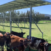 Date Creek rancher Savannah Figueroa is using federal dollars to reduce her carbon footprint while growing her business.