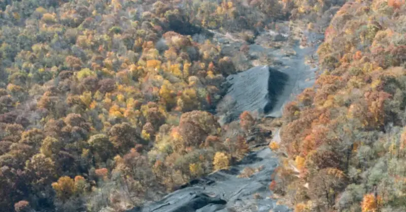 Amazon will buy renewable energy from a solar project in MD that is being built on a brownfield — the former site of a 120-year-old coal mine