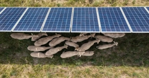 PV installations increased 30% on farms in the latest US Census of Agriculture. Some 116,758 farms had solar panels in 2022, compared with 90,142 in 2017.
