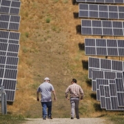 A 1-megawatt initiative called the Fallon Two Rock solar project is estimated to power 400 homes by generating 2,300 megawatt hours annually.