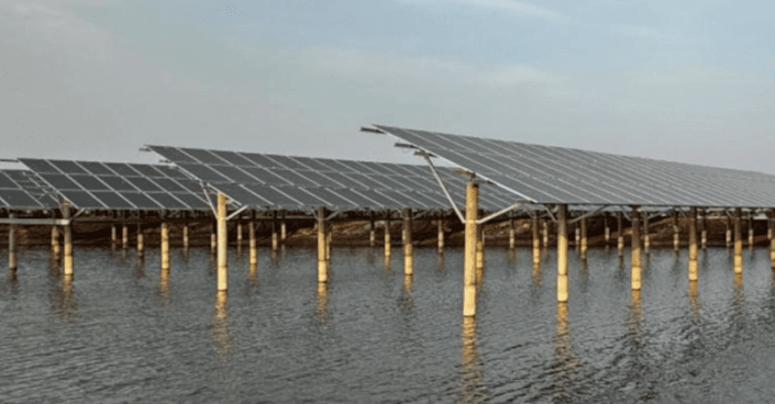 ptp-071024-7 Installing solar panels over fish farms can help boost seafood harvests by 50% while generating huge amounts of pollution-free electricity.