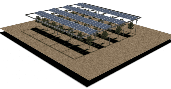 ptp-071224-1 Bifacial solar panels and other crop-friendly technologies are expanding the field of opportunities for agrivoltaic development.