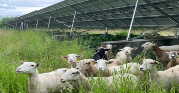 ptp-071924-3 Agrivoltaics help preserve & improve prime agricultural land while providing farmers with additional income.