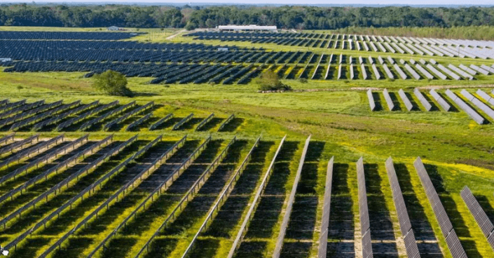 ptp-080924-1 The company confirmed on Tuesday that JERA Nex has announced a major expansion of its operational footprint in the US.