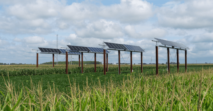 ptp-082124-1 A Purdue University team optimized corn yields in solar-powered fields by managing dynamic shadows cast by solar arrays throughout the day.